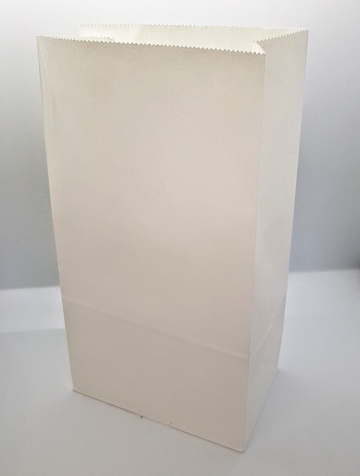 Large White Paper Gift Bag
