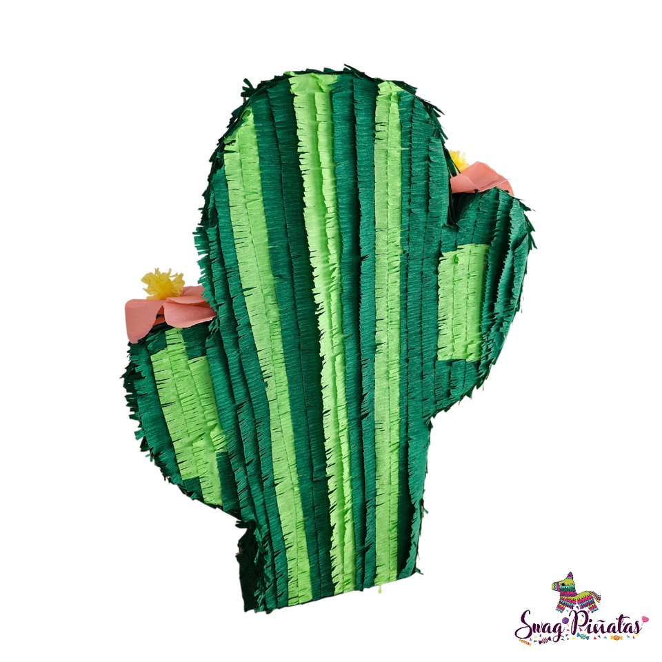 Mexican Cactus Pinata