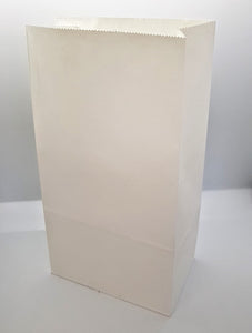 Large White Paper Gift Bag