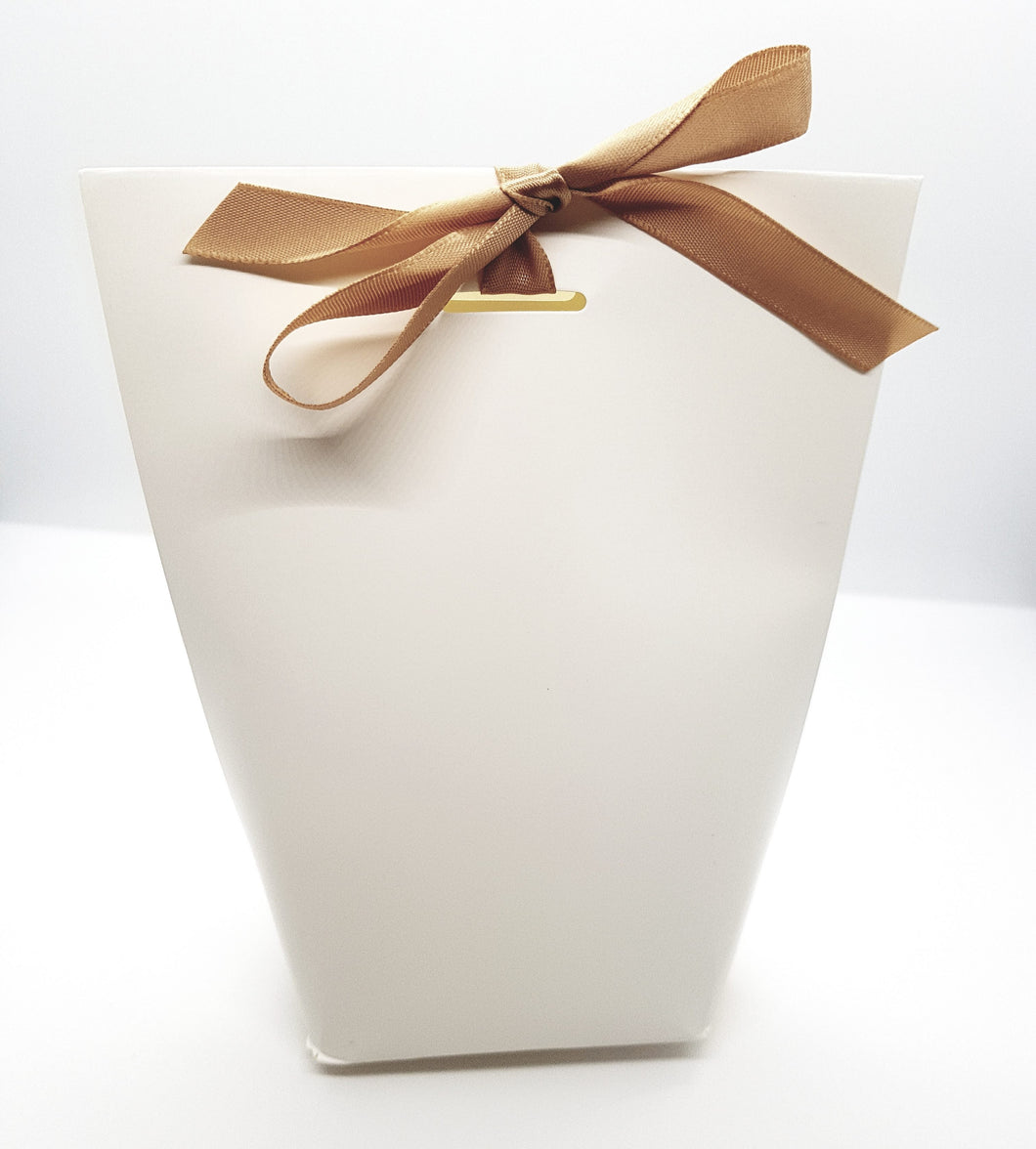 White Cardboard Bag with Bronze Ribbon
